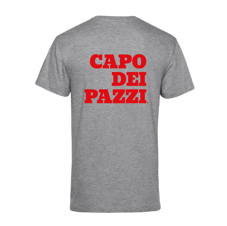 T-Shirt grigia le ventiventi6