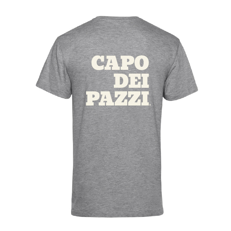 T-Shirt grigia le ventiventi6