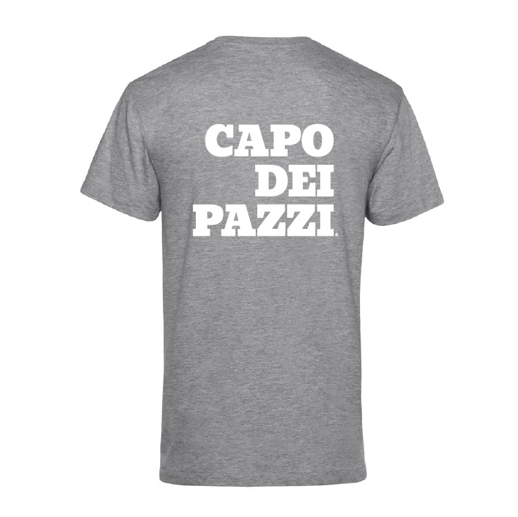 T-Shirt grigia le ventiventi6