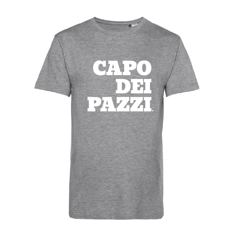 T-Shirt grigia le ventiventi6