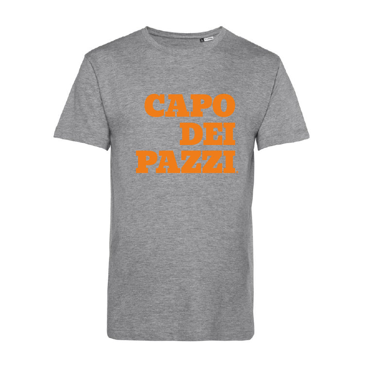 T-Shirt grigia le ventiventi6