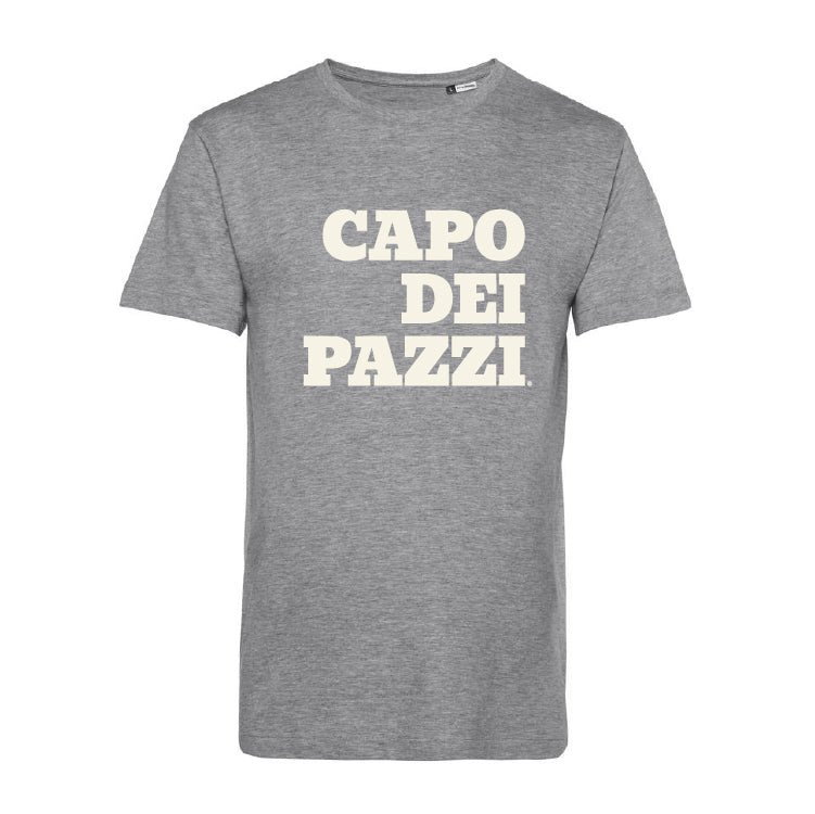 T-Shirt grigia le ventiventi6