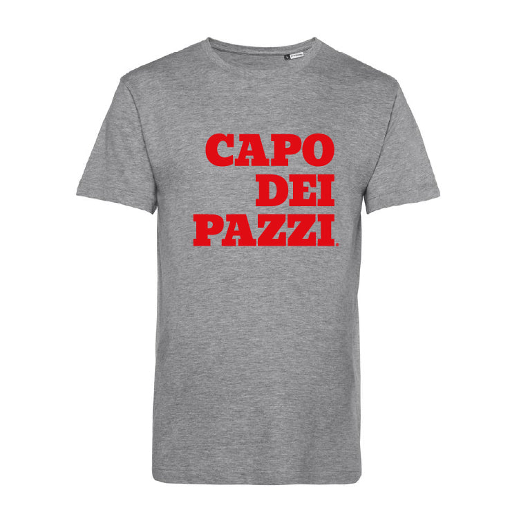 T-Shirt grigia le ventiventi6