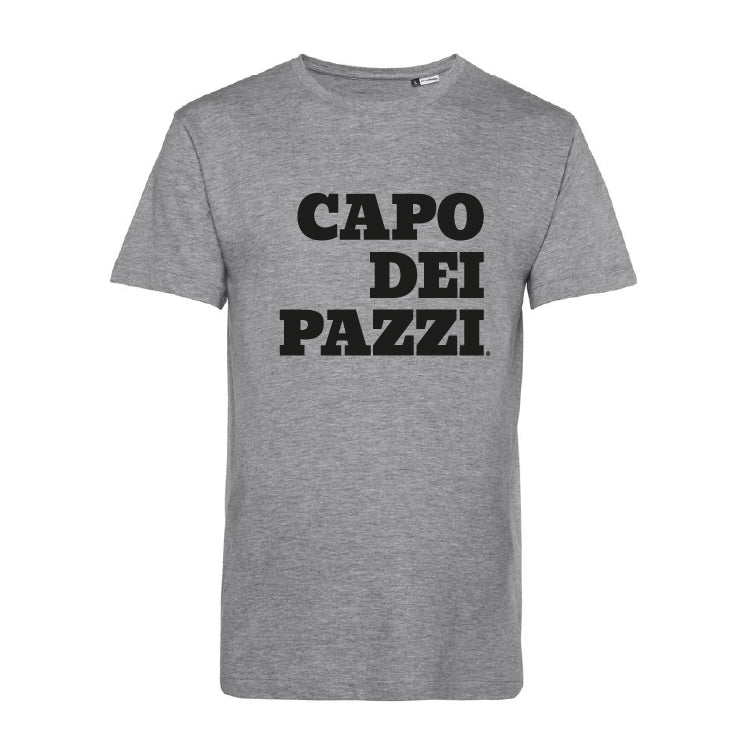 T-Shirt grigia le ventiventi6