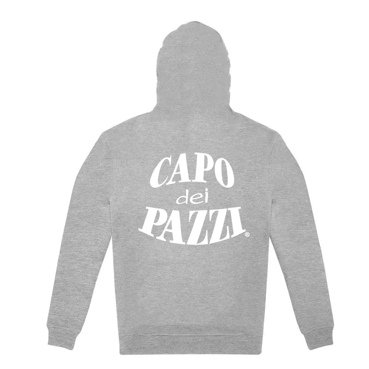 Felpa cappuccio grigia