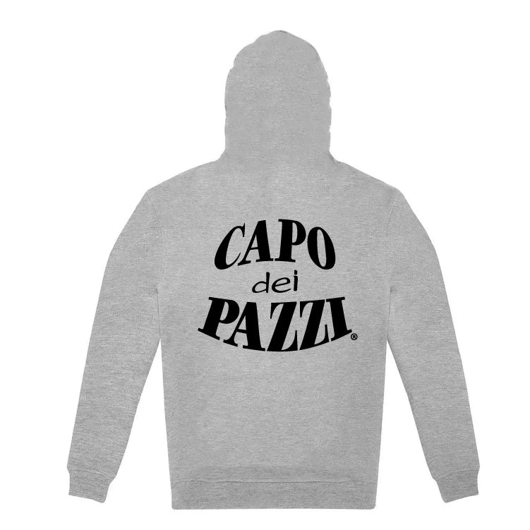 Felpa cappuccio grigia