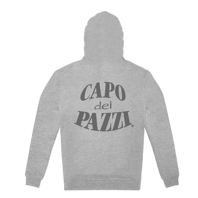 Felpa cappuccio grigia