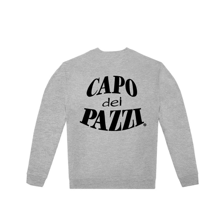 Felpa girocollo grigia