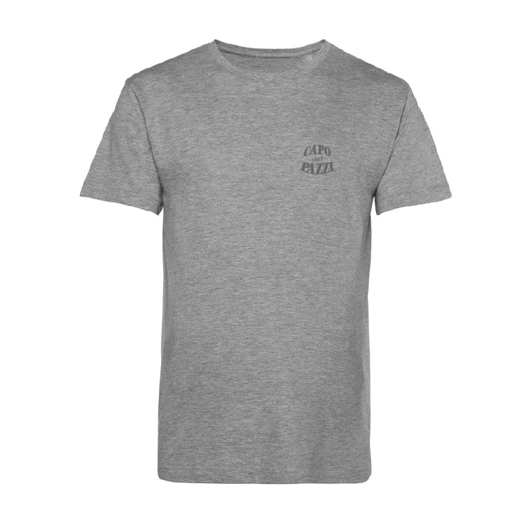 T-Shirt grigia Logo F/R