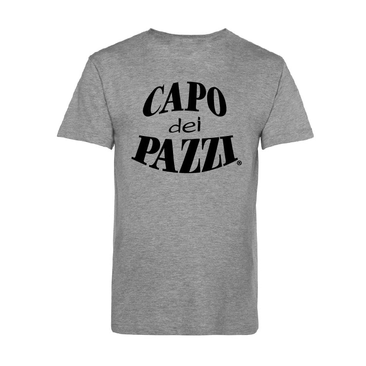 T-Shirt grigia Logo F/R